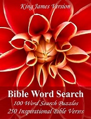 Puzzle Book - King James Bible Word Search